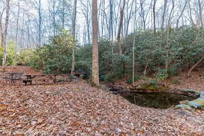 0000 Sourwood Road, Canton, NC 28716 - Photo 26