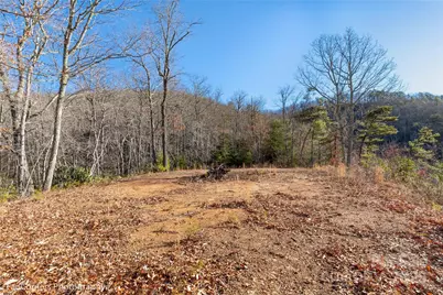 0000 Sourwood Road, Canton, NC 28716 - Photo 26
