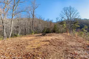 0000 Sourwood Rd, Canton, NC 28716 - Photo 10