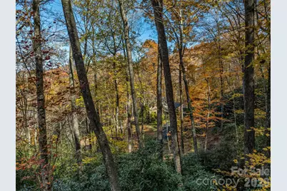 241 Skye Drive, Pisgah Forest, NC 28768 - Photo 22