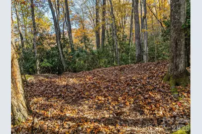 241 Skye Drive, Pisgah Forest, NC 28768 - Photo 12