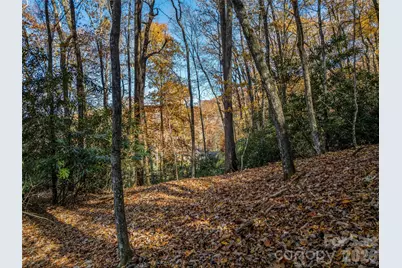 241 Skye Drive, Pisgah Forest, NC 28768 - Photo 2