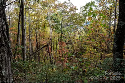 4B Lower Flat Creek Road, Black Mountain, NC 28711 - Photo 4
