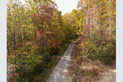 4B Lower Flat Creek Road, Black Mountain, NC 28711 - Photo 16