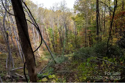 4B Lower Flat Creek Road, Black Mountain, NC 28711 - Photo 10