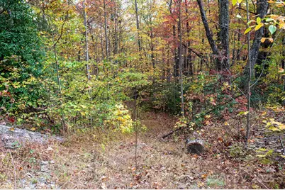 4B Lower Flat Creek Road, Black Mountain, NC 28711 - Photo 1
