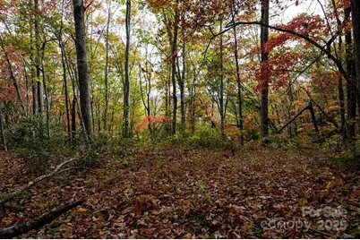 4B Lower Flat Creek Road, Black Mountain, NC 28711 - Photo 2