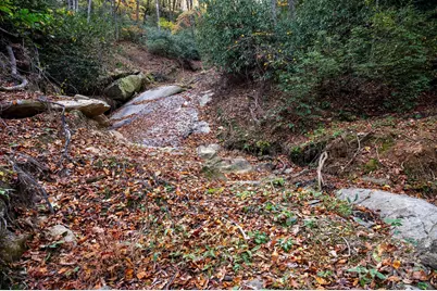 4B Lower Flat Creek Road, Black Mountain, NC 28711 - Photo 12