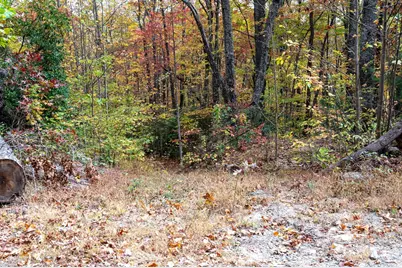 4B Lower Flat Creek Road, Black Mountain, NC 28711 - Photo 8