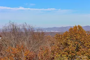 222 Secluded Hills Ln, Arden, NC 28704 - Photo 42