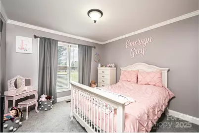 1784 New Star Drive, Newton, NC 28658 - Photo 20