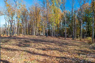 4436 Brancer Ln, Lincolnton, NC 28092 - Photo 32