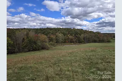 Tbd Wards Gap Road, Casar, NC 28020 - Photo 32