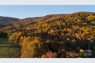 Tbd Wards Gap Road, Casar, NC 28020 - Photo 8