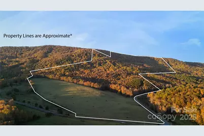 Tbd Wards Gap Road, Casar, NC 28020 - Photo 2