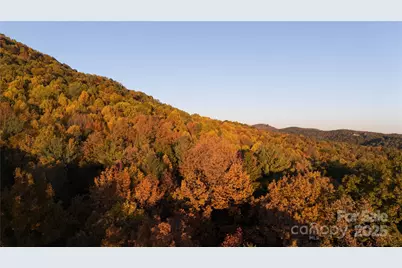 Tbd Wards Gap Road, Casar, NC 28020 - Photo 14