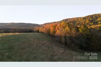 Tbd Wards Gap Road, Casar, NC 28020 - Photo 18