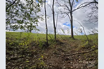 Tbd Wards Gap Road, Casar, NC 28020 - Photo 28