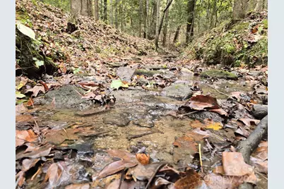 Tbd Wards Gap Road, Casar, NC 28020 - Photo 4