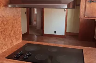 2833 Camp Creek Church Rd, Mooresboro, NC 28114 - Photo 20