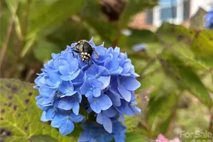 2238 Flatwood Rd, Lenoir, NC 28645 - Photo 2