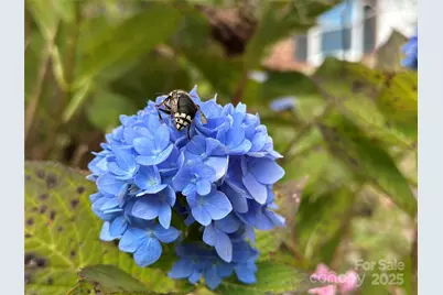 2238 Flatwood Road, Lenoir, NC 28645 - Photo 2