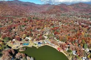 1 Lynx Dr, Black Mountain, NC 28711 - Photo 36