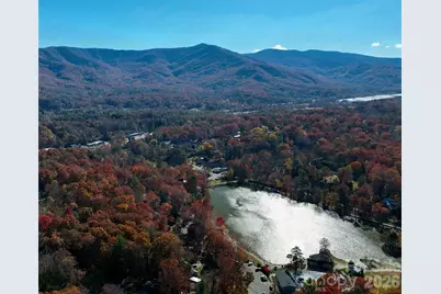 1 Lynx Drive #C-1, Black Mountain, NC 28711 - Photo 38