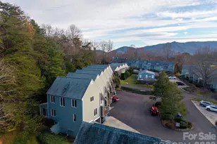 1 Lynx Dr, Black Mountain, NC 28711 - Photo 40