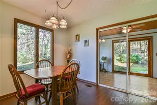 1 Lynx Dr, Black Mountain, NC 28711 - Photo 24