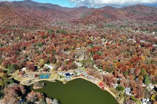 1 Lynx Dr, Black Mountain, NC 28711 - Photo 36