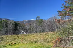 1 Lynx Dr, Black Mountain, NC 28711 - Photo 34