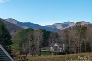 1 Lynx Dr, Black Mountain, NC 28711 - Photo 42