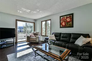 1 Lynx Dr, Black Mountain, NC 28711 - Photo 20