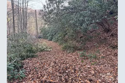 2664 Nc Hwy 9 Highway, Black Mountain, NC 28711 - Photo 2