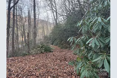 2664 Nc Hwy 9 Highway, Black Mountain, NC 28711 - Photo 1