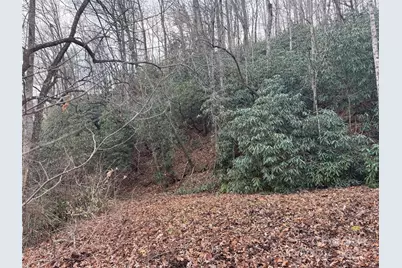 2664 Nc Hwy 9 Highway, Black Mountain, NC 28711 - Photo 4