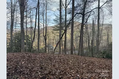 2664 Nc Hwy 9 Highway, Black Mountain, NC 28711 - Photo 14