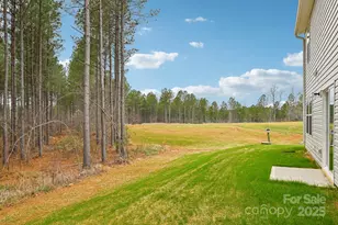 287 Loblolly Pne Ln, Lexington, NC 27292 - Photo 14