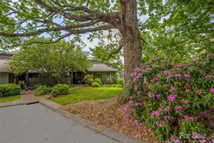 405 Crowfields Dr, Asheville, NC 28803 - Photo 46