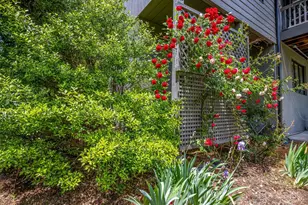 405 Crowfields Dr, Asheville, NC 28803 - Photo 44