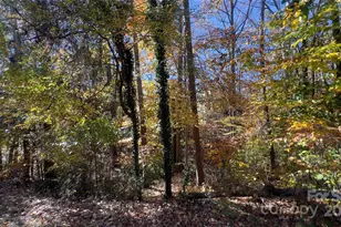 3135 Brockhampton Ct, Charlotte, NC 28269 - Photo 18