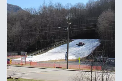 30 Brier Lane, Maggie Valley, NC 28751 - Photo 48