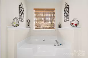 2959/2961 Bearwallow Mountain Rd, Hendersonville, NC 28792 - Photo 24