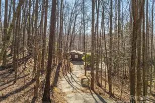 2959/2961 Bearwallow Mountain Rd, Hendersonville, NC 28792 - Photo 16