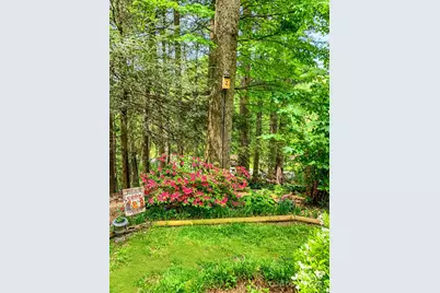 184 Pisgah Shadows Road, Penrose, NC 28766 - Photo 42