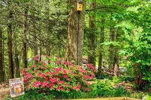 184 Pisgah Shadows Rd, Penrose, NC 28766 - Photo 42