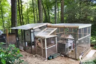 184 Pisgah Shadows Rd, Penrose, NC 28766 - Photo 44