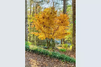 184 Pisgah Shadows Road, Penrose, NC 28766 - Photo 40