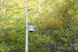 4189 Bristol Pl, Collettsville, NC 28611 - Photo 46